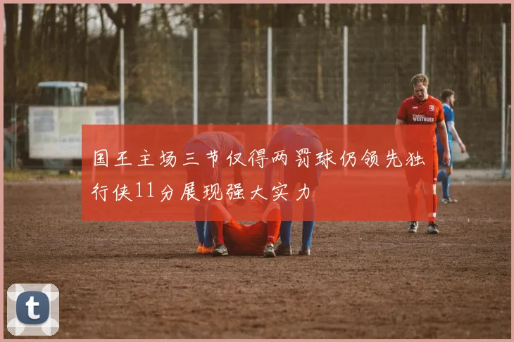 国王主场三节仅得两罚球仍领先独行侠11分展现强大实力