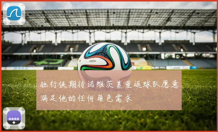 独行侠期待诺维茨基重返球队愿意满足他的任何角色需求