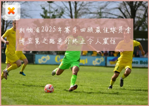 利物浦2025年赛季回顾最佳球员索博卫冕之路意外终止令人震惊