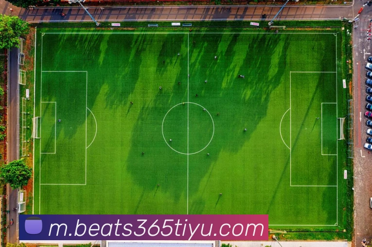 beats365体育平台生态图